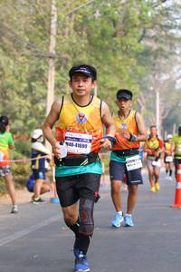 BIB: 41699
                            <button type="button" onclick="openModal(10358046)" class="btn btn-primary btn-sm float-right btn-popup" data-toggle="modal" data-target=".modal-high-quality">
                        <i class="fas fa-shopping-cart"></i> Add to Cart
                    </button>
                                            <button type="button" onclick="isThisMe(10358046, true)" class="btn btn-success btn-sm float-right btn-popup btn-isme hidden" data-toggle="tooltip" data-placement="bottom" title="นี่คือรูปของคุณใช่ไหม คลิกที่นี่เพื่อเอาเข้าอัลบั้ม">
                        <i class="fas fa-plus"></i> Add to album
                    </button>
                    <button type="button" onclick="isThisMe(10358046, false)" class="btn btn-warning btn-sm float-right btn-popup btn-isnotme hidden">
                        <i class="fas fa-ban"></i> Remove from album
                    </button>